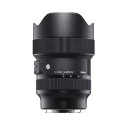 Sigma 14-24mm F/2.8 DG DN Art Für Sony E