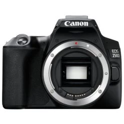 Canon® Canon EOS 250D Body