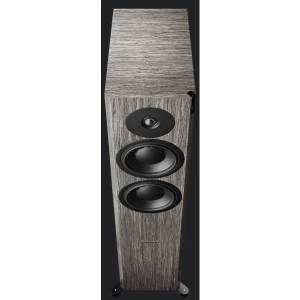 Dynaudio Focus 30 XD Hochglanz Grey Oak 5 Dynaudio Focus 30 XD Hochglanz Grey Oak – Bild 3