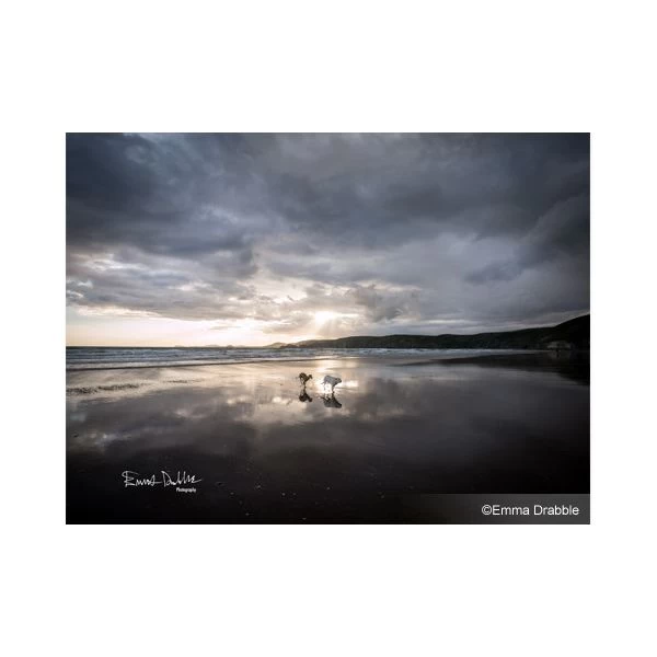 Panasonic Lumix G Vario 7-14mm F/4.0 7 Panasonic Lumix G Vario 7-14mm F/4.0 – Bild 5