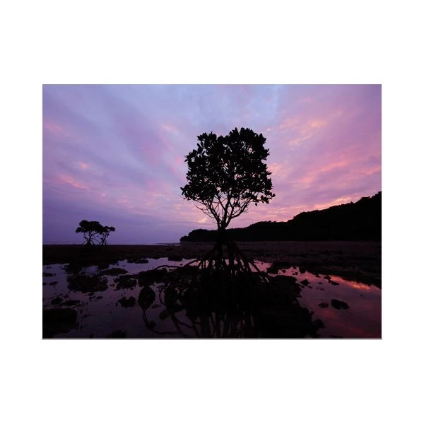 Panasonic Lumix G Vario 7-14mm F/4.0 8 Panasonic Lumix G Vario 7-14mm F/4.0 – Bild 6