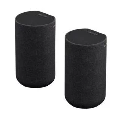 Sony SA-RS5 Wireless Rücklautsprecher S Schwarz