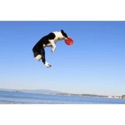 Canon® Canon EOS 850D + 18-135mm IS USM 16 Canon® Canon EOS 850D + 18-135mm IS USM -3C Shop tb 134325 1 144985 700x467